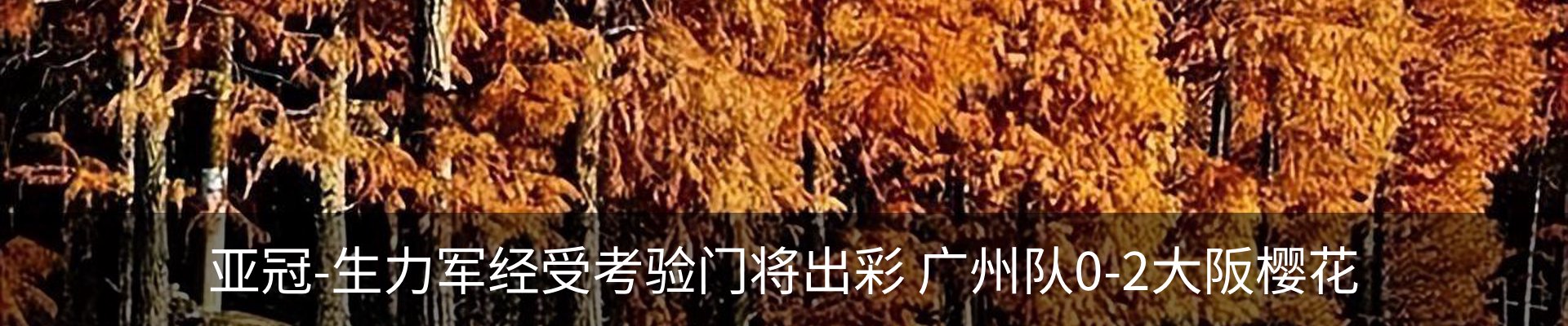 内页banner