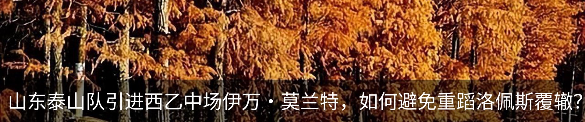 内页banner