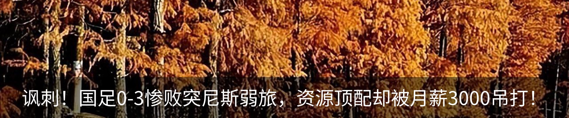 内页banner